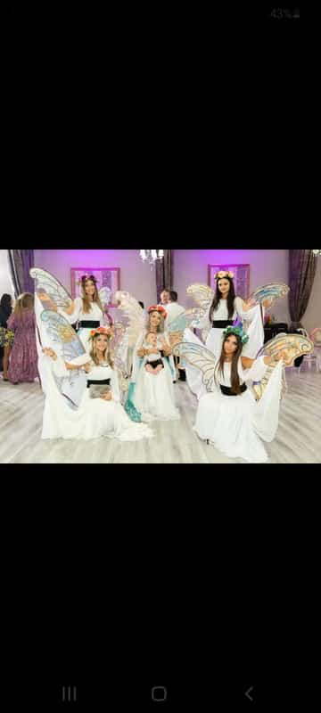 Ursitoare cu aripi Gadilicea